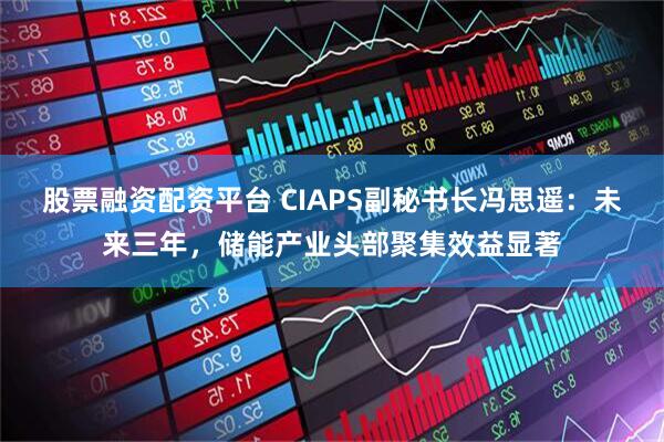 股票融资配资平台 CIAPS副秘书长冯思遥：未来三年，储能产业头部聚集效益显著