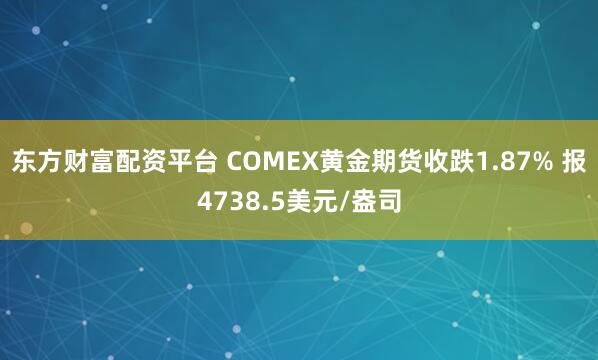 东方财富配资平台 COMEX黄金期货收跌1.87% 报4738.5美元/盎司